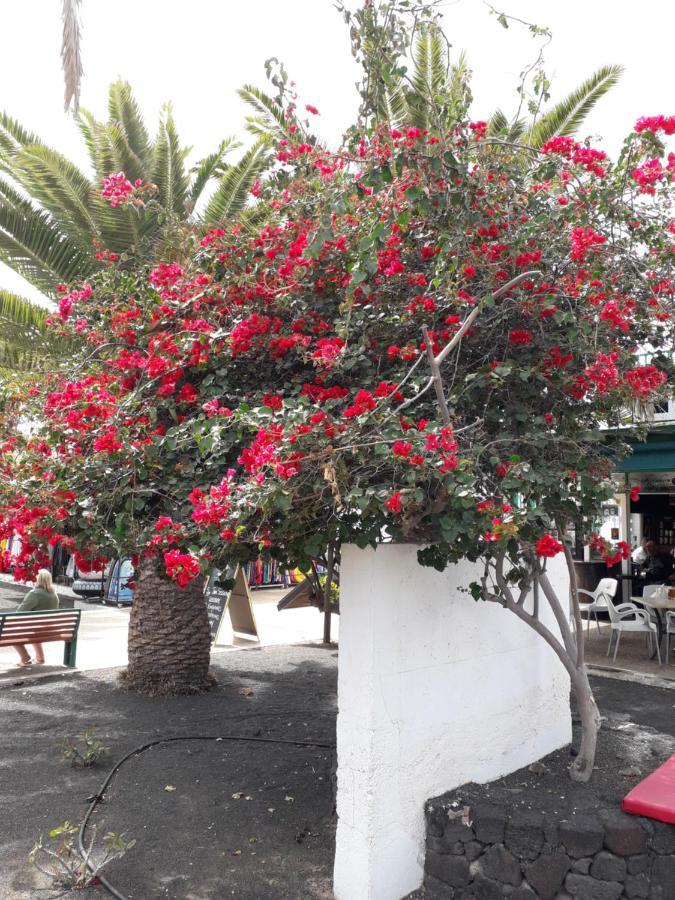 Sunny Self-Catering Apartment Costa Teguise, Lanzarote, Spain Bagian luar foto